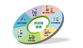 鏈服務公司 現(xiàn)代金融中介服務的新興力量